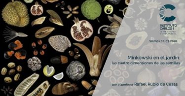 Cartel de la Conferencia: Minkowski en el jardin: las 4 dimensiones de las semillas