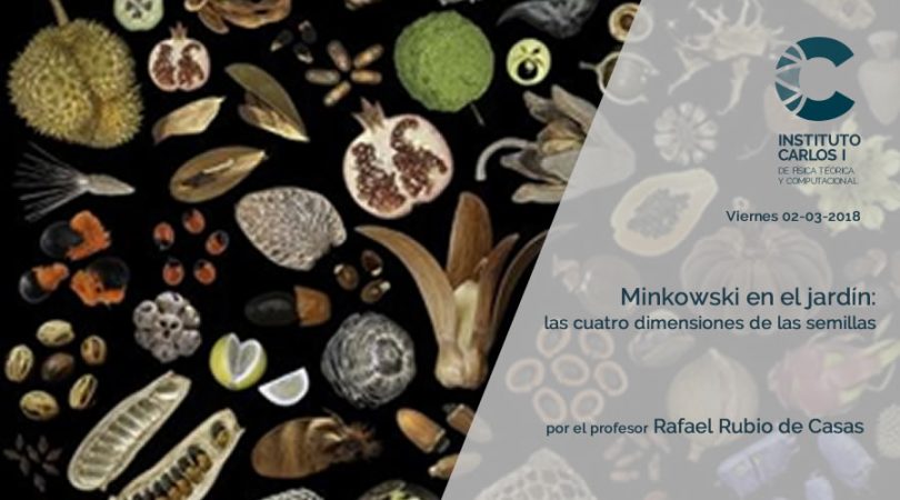 Minkowski en el jardin: las 4 dimensiones de las semillas