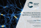 Cartel de la Conferencia: Neurofísica de funciones cognitivas y su distribución en el cerebro.